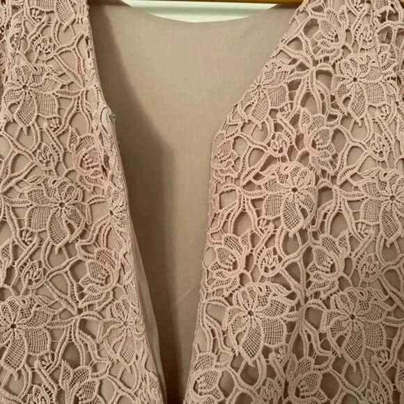 NWT 424 Fifth Lord & Taylor Knee-Length A-Line Lace Shift Dress Blush Nude Sz 8 - Picture 10 of 12